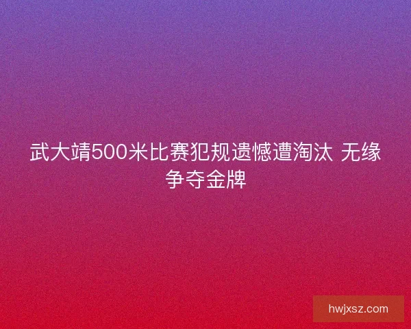 武大靖500米比赛犯规遗憾遭淘汰 无缘争夺金牌
